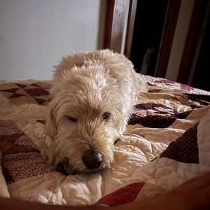 Meet your Posher, Andrew